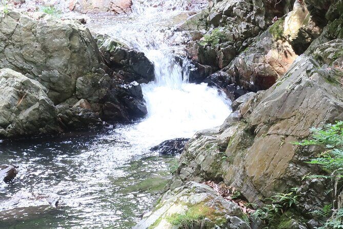 Minoh Waterfall and nature walk through the Minoh Park - Frequently Asked Questions