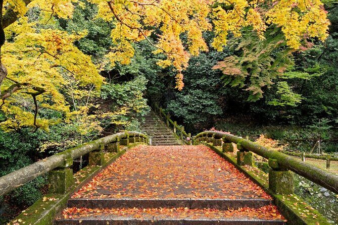 Minoo Park Adventure: Nature, Temples, and Coffee Bliss - Key Points