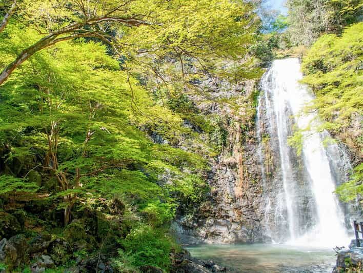 Minoo Park: Guided Nature Walk - What Makes This Tour a Good Value