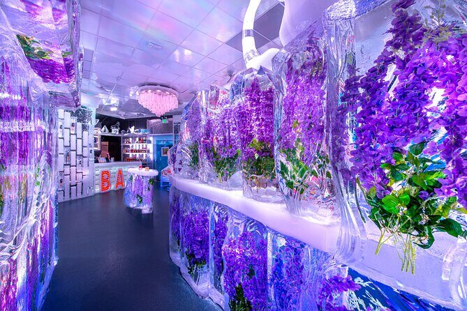 Minus5 Ice Bar Admission Ticket at Mandalay Place Las Vegas - Who Will Love this Experience?