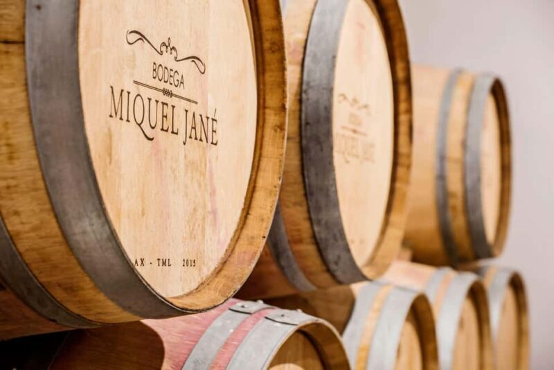 Miquel Jané Winery: tour with audio guide - Why We Think This Tour Offers Good Value