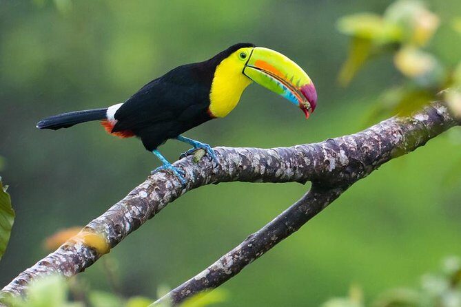Miravalles Volcano and Waterfalls from Playa Hermosa - The Sum Up