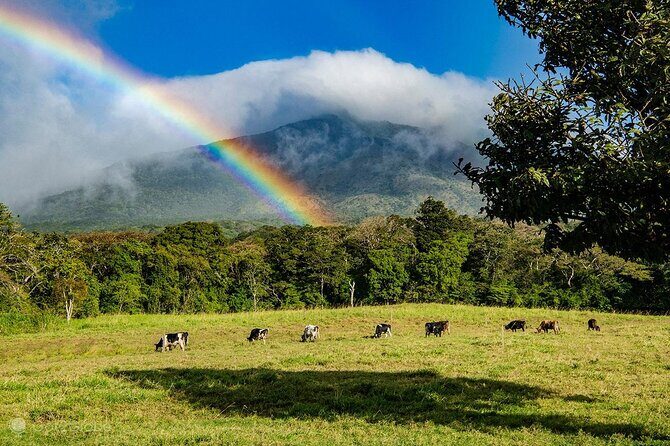 Miravalles Volcano Private Nature Tour with Hot Spring - An In-Depth Review of the Miravalles Volcano Private Tour