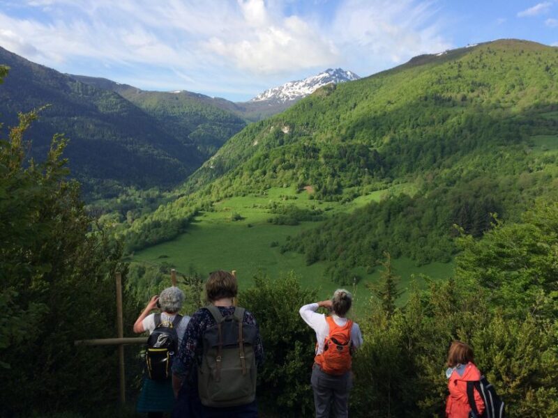 Mirepoix, castles of Montségur & Camon guided tour - Exploring Montségur: History and Views