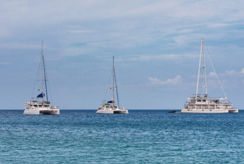 Mirissa: Luxury Sailing Boat Dolphin and Whale Watching - The Bottom Line
