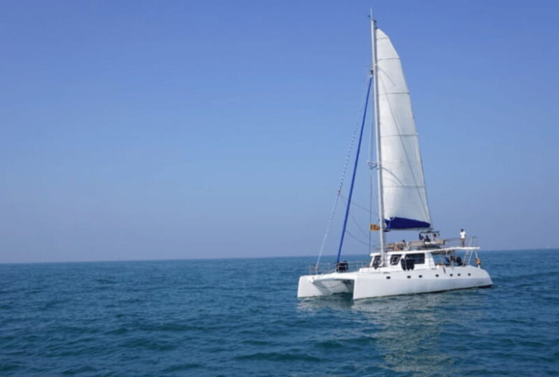 Mirissa: Sunset Catamaran Sailing Boat Tour with Dinner - FAQ