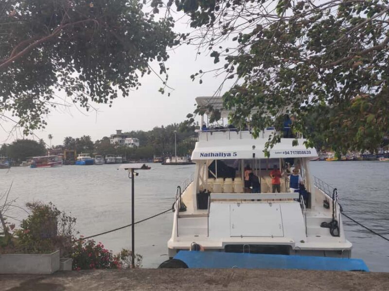 Mirissa: Sunset Whale Watching Boat Tour with Music - Mirissa: Sunset Whale Watching Boat Tour with Music – A Truly Unique Coastal Experience