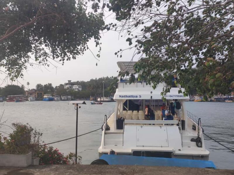 Mirissa: Sunset Whale Watching Boat Tour with Music - Who Should Consider This Tour?