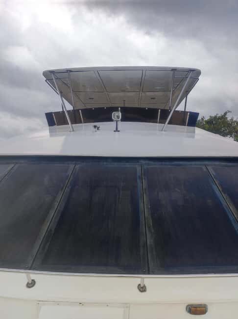 Mirissa: Sunset Whale Watching Boat Tour with Music - The Sum Up