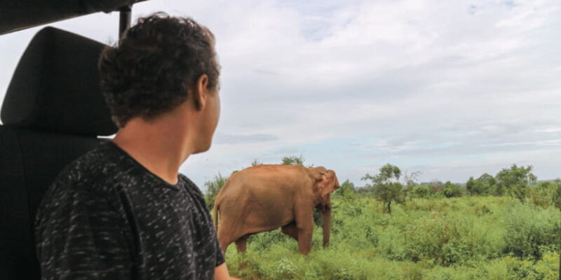 Mirissa: Udawalawe & YALA Safaris + lunch, Drop off: Ella - Informed by Real Feedback: What Travelers Say