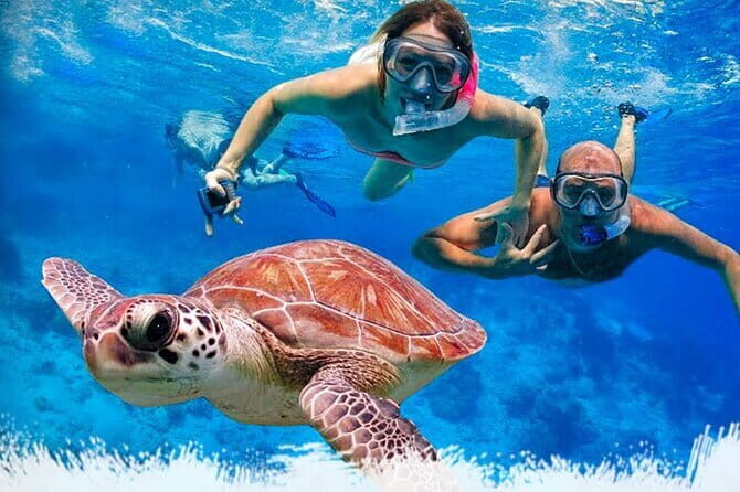 Mirissa Unforgettable Snorkeling Experience with Turtles - Mirissa Unforgettable Snorkeling Experience with Turtles