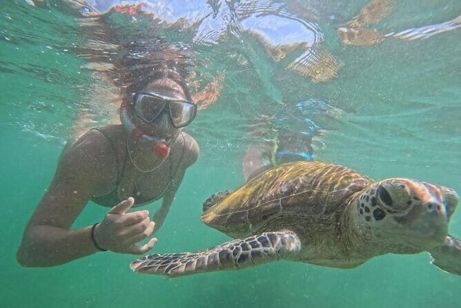 Mirissa Unforgettable Snorkeling Experience with Turtles - Key Points