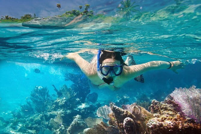 Mirissa Unforgettable Snorkeling Experience with Turtles - FAQ