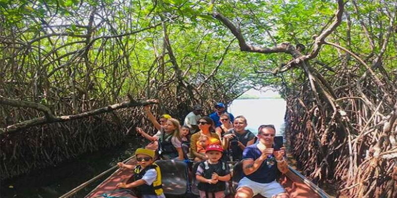 Mirissa/Weligama/Galle: Galle & Bentota Coastal Day Tour - Practical Tips for Making the Most of This Tour