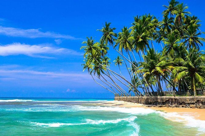 Mirissa/Weligama to Colombo Airport Private Taxi Transfer - What to Expect During Your Ride