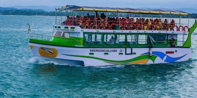 Mirissa: Whale & Dolphin Sightseeing Cruise - FAQ