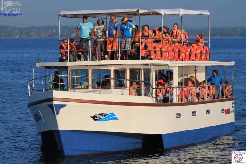 Mirissa: Whale & Dolphin Watching Trip with Private Transfer - Key Points