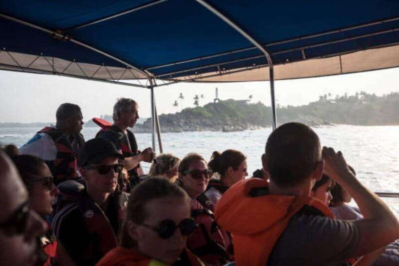 Mirissa: Whale Watching Cruise - Final Thoughts: Is This Tour Right for You?