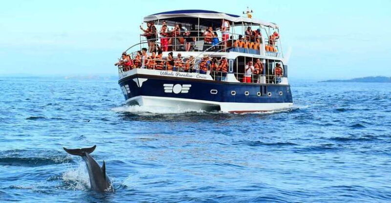 Mirissa Whale Watching, Tour A Once-in-a-Lifetime Experience - The Sum Up: Is This Tour Worth It?