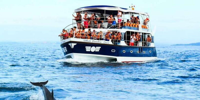 Mirissa: Whale Watching Tour - FAQs About Mirissa Whale Watching Tour