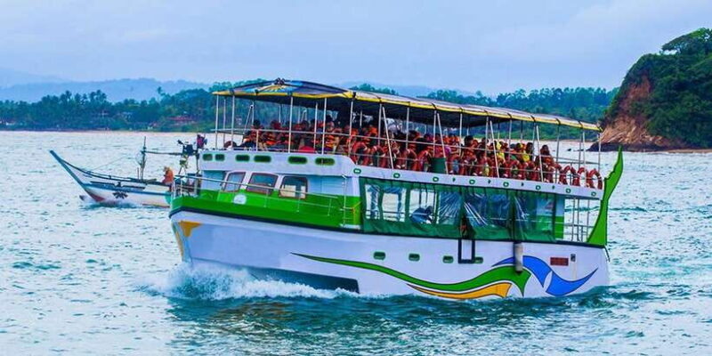 Mirissa: Whale Watching Tour - Final Thoughts