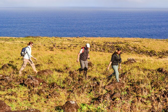 Miru: The North Coast Full Day Hike - Exploring the North Coast of Rapa Nui: An In-Depth Review