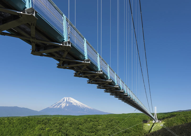 Mishima Skywalk Ticket - Forest Adventure among the trees
