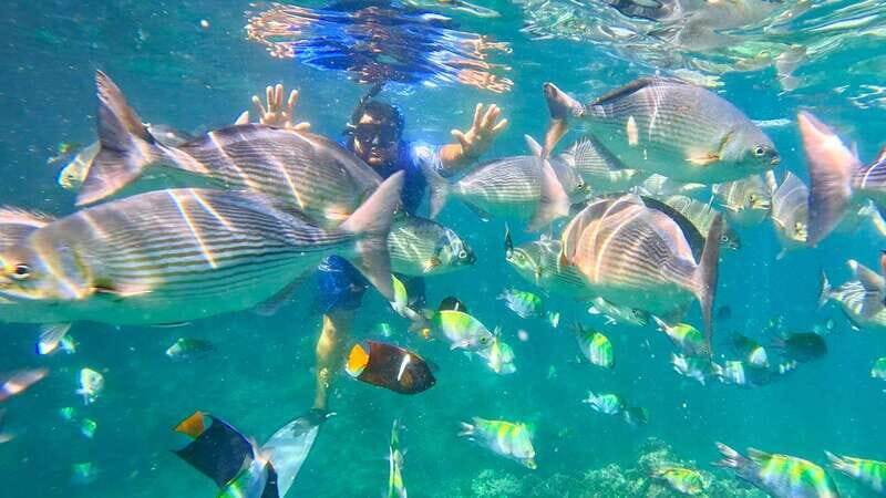 Mismaloya: Snorkeling, Cliff Jumping, and Beach Tour - Key Points