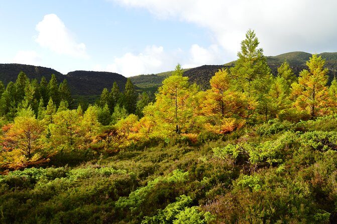 Mistérios Negros Hiking Trail - Terceira Azores - Key Points