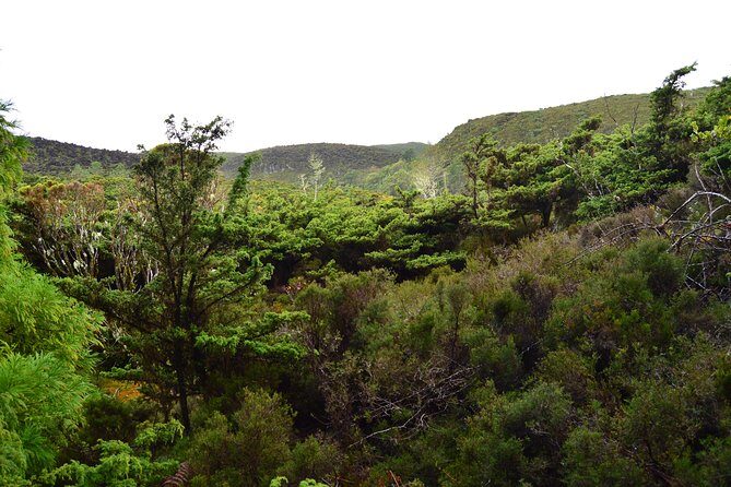 Mistérios Negros Hiking Trail - Terceira Azores - FAQ about the Mistérios Negros Hiking Trail