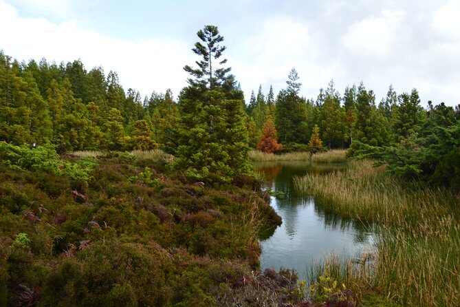 Mistérios Negros Hiking Trail - Terceira Azores - Final thoughts