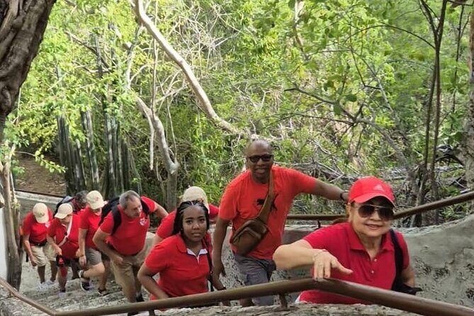 Misteriosas Cuevas, Elegantes Flamencos y Relax en Porto Marie - Key Points