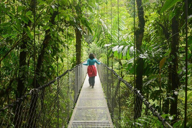 Mistico Arenal Hanging Bridges - Fruit & Guided Walk - Practical Tips for Future Visitors