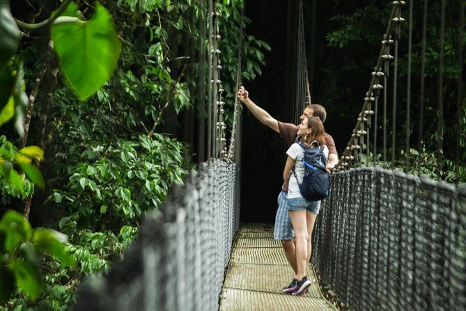 Mistico Hanging Bridges - Final Thoughts: Is It Worth It?