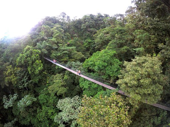 Mistico Hanging Bridges - Frequently Asked Questions
