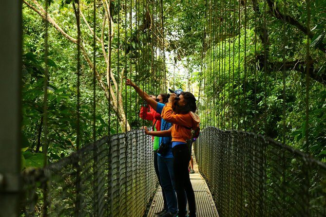 Mistico Hanging Bridges Park from La Fortuna - Key Points