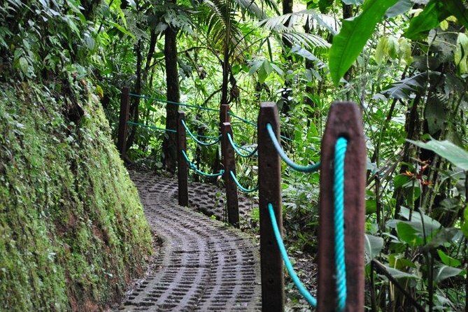 Mistico Hanging Bridges Park from La Fortuna - FAQ