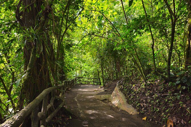Mistico Hanging Bridges With Transportation and Naturalist Guide - Key Points
