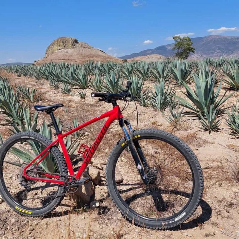 Mitla: Bike Tour to the Archaeological Zone and Caves with Rock Art - An In-Depth Look at the Tour Experience