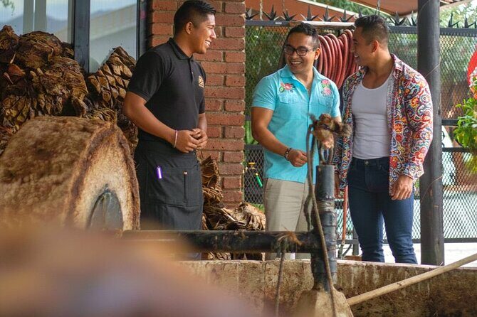 Mixer - A Closer Look at the Mixer Tour in Oaxaca