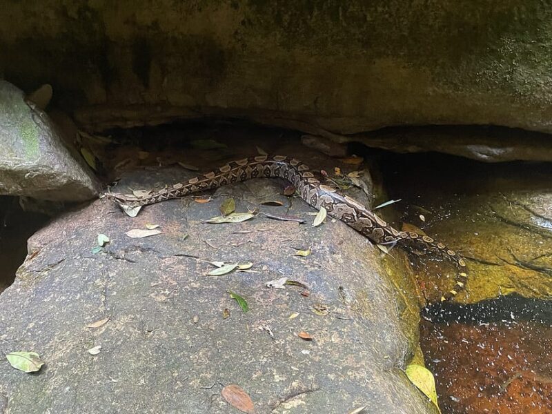 Mixila Waterfall - 2 Days Trekking - What to Bring and What to Expect