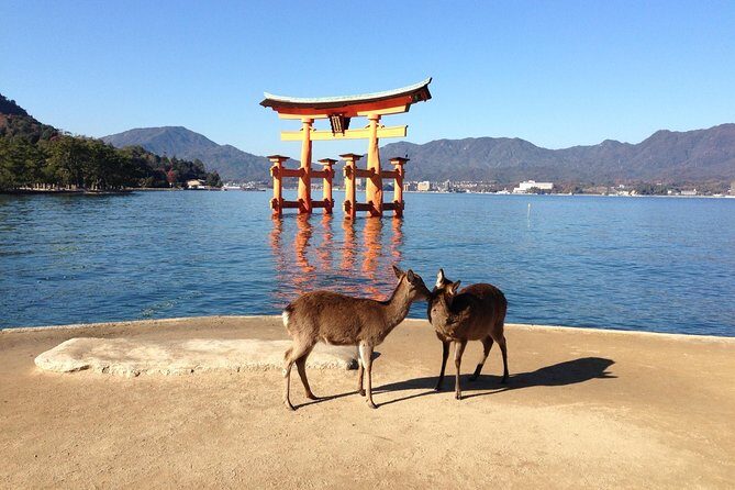 Miyajima full day tour - Discover Hiroshima’s Miyajima with a Full-Day Guided Tour