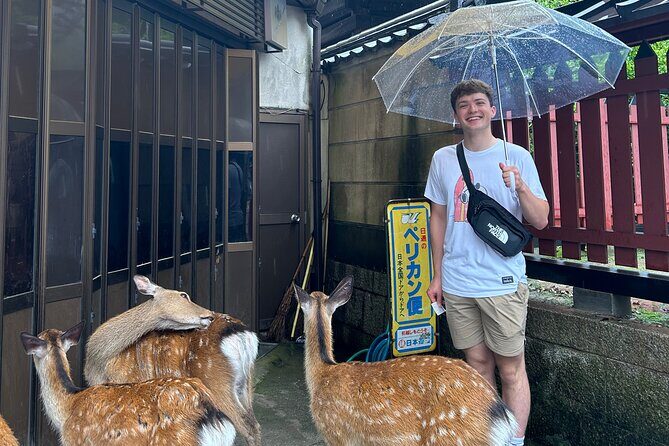 Miyajima History Walking Tour - Frequently Asked Questions