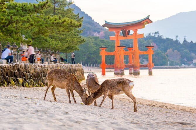 Miyajima Island Day Tour in Sacred Sites and Mount Misen - FAQs