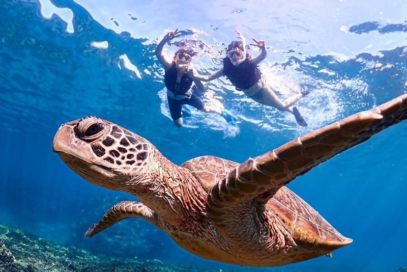 Miyako Island Complete Conquest Plan (SUP x Snorkeling x Caving x Canoe) Experience (Okinawa) - What makes this Miyakojima day special