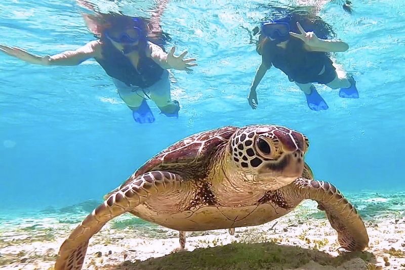 Miyako Island Complete Conquest Plan (SUP x Snorkeling x Caving x Canoe) Experience (Okinawa) - Should you book the Miyakojima water-activity day?