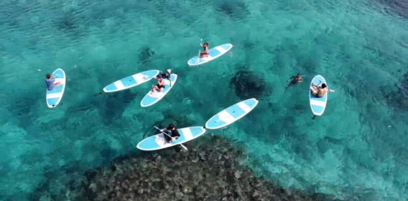 Miyako Island: English speaking SUP Tour - A Deep Dive into the Miyako Island SUP Tour