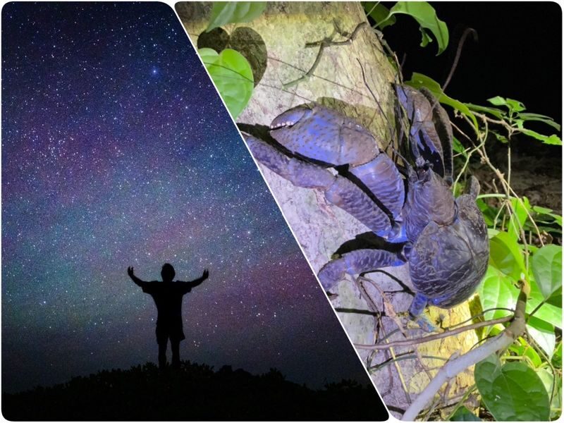 Miyako Island:Exploring the jungle under the stars and at night - What makes this night walk worthwhile