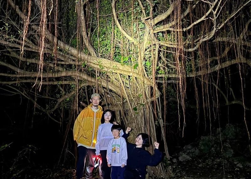 Miyako Island:Exploring the jungle under the stars and at night - The starry sky is weather dependent
