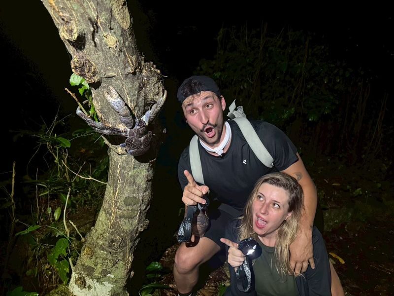 Miyako Island:Exploring the jungle under the stars and at night - What the walk asks of you